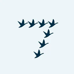 Applikazione desktop 7Geese