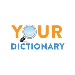 Aplicație desktop YourDictionary