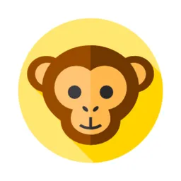 App para Desktop QR Code Monkey