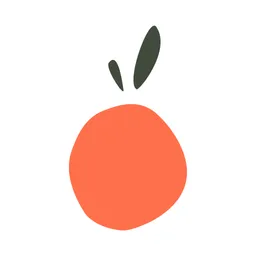 App para Desktop Lucky Orange