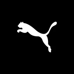 Applikacja desktopowa PUMA