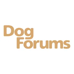Aplicație desktop Dog Forums