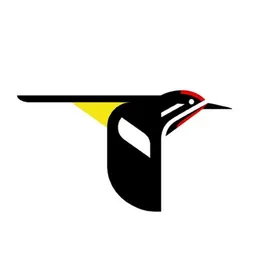 Desktop App All About Birds