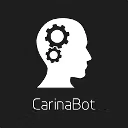 Applikacja desktopowa CarinaBot