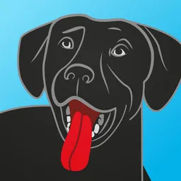 Aplicație desktop BringFido
