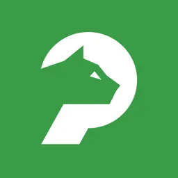 Applikazione desktop PouncerAI