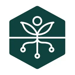Desktop App Avalo