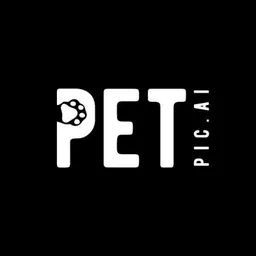 App para Desktop PetPic