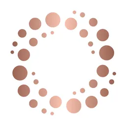 Desktop App PerfAI