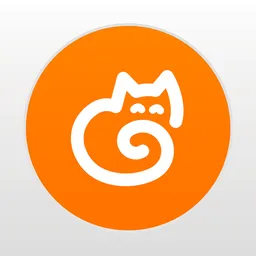 Desktop App Receipt Cat