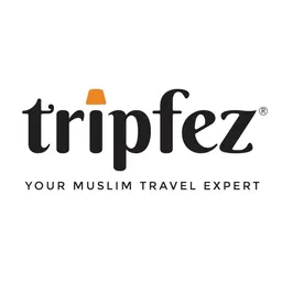 App para Desktop Tripfez