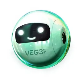 Applikation de bureau VEG3