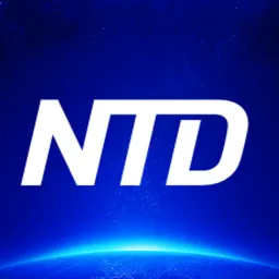 Desktop App NTD News