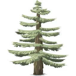 Applikazione desktop Evergreen Notes
