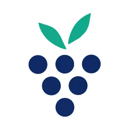 Desktop App Berrycast