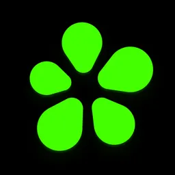 Aplicație desktop ICQ