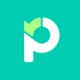 Настольная Applikation Paymo