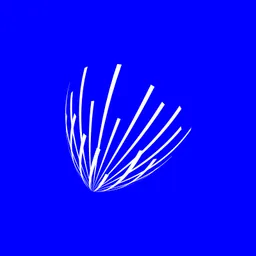 Desktop App AnswerThePublic