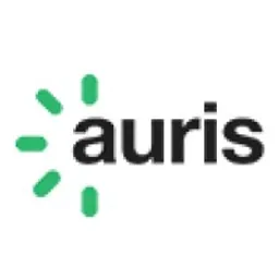 Applikazione desktop Auris