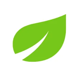 Aplicație desktop Leaf.page