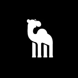 Desktop App camelQA