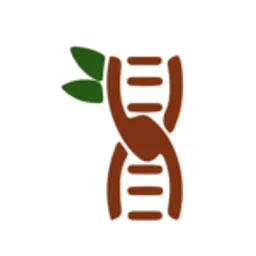 Desktop App Tamarind