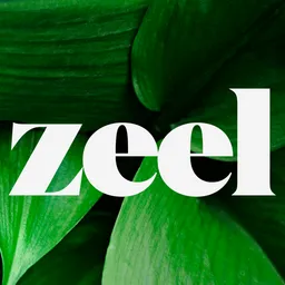 Настольная Applikation Zeel