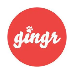 Desktop App Gingr