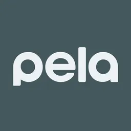 Aplicație desktop Pela Case
