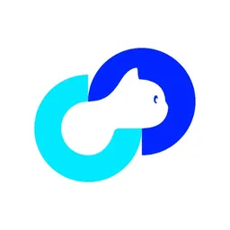 Desktop App VOC.ai
