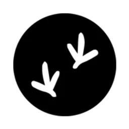 Desktop App Raven