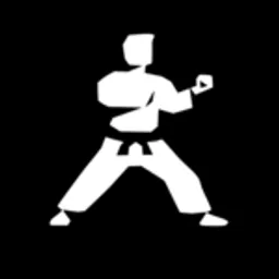 Applikation de bureau Karate Labs