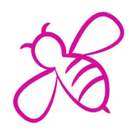 Desktop App Beeceptor