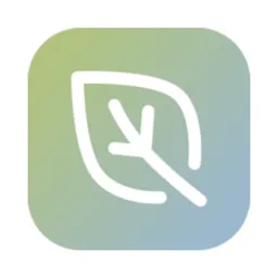 Настольная Applikation BlessAI