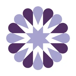Desktop App SocialFlow