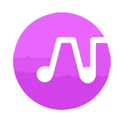 Aplicație desktop TuneFlow