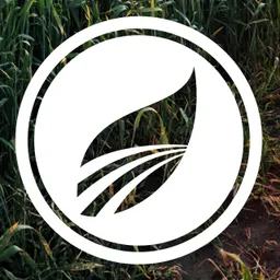 Desktop App AG Daily