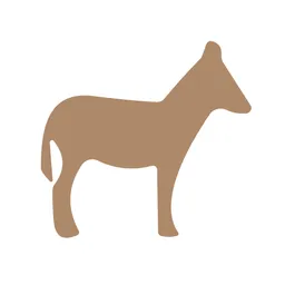 Desktop App SongDonkey.