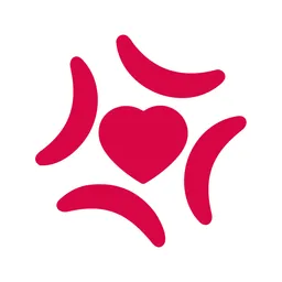 App para Desktop Korewa