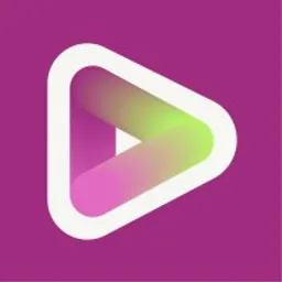 Aplicație desktop vidyo.ai