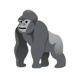 Applikation de bureau Gorilla Terminal