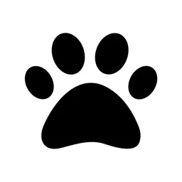 Desktop App Pet Booth