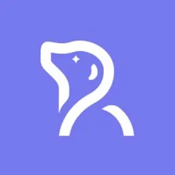 Desktop App Remy