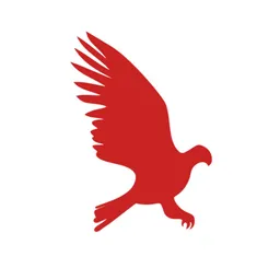Настольная Applikation Hawke AI