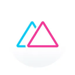 Desktop App MetaSurvey