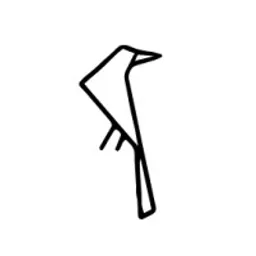 Aplicație desktop Open Raven
