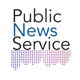 Настольная Applikation Public News Service