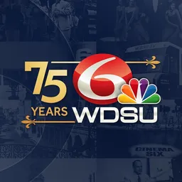 Aplicație desktop WDSU