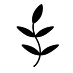 Desktop App Thyme