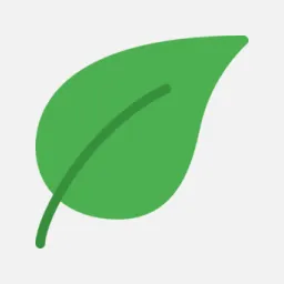 Desktop App Anki Decks